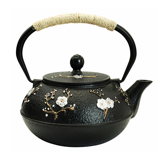 SECHUDO 27oz Cast Iron Teapot, 800ML Teapot for Stovetop Safe Coated with Enameled Interior,Japanese Beautiful Tea Kettle with Stainless Steel Infuser for Loose Tea